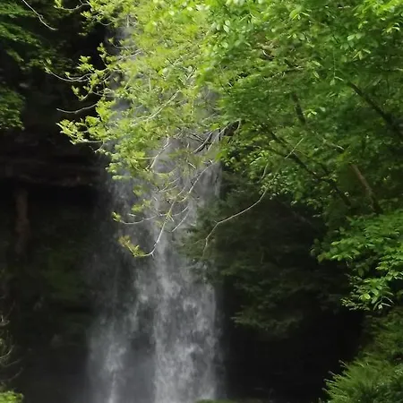 Bed & Breakfast La Lavia Sligo