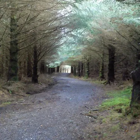 La Lavia Sligo